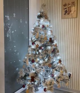 Bennwihr Apartment | Gîte duplex les Glycines