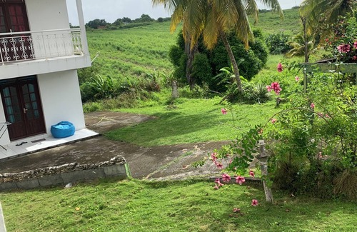 Grand-Bourg Bed & Breakfast | Gîte fleurs des îles