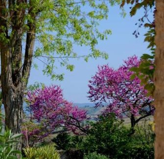 Limoux Apartment | Gîte - Holiday Home Vent Autan