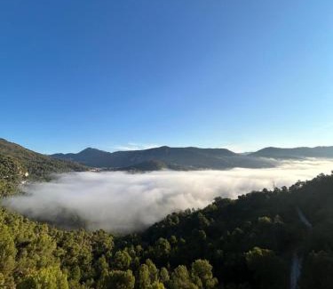 Aspremont Apartment | Gîte Le Tilleul
