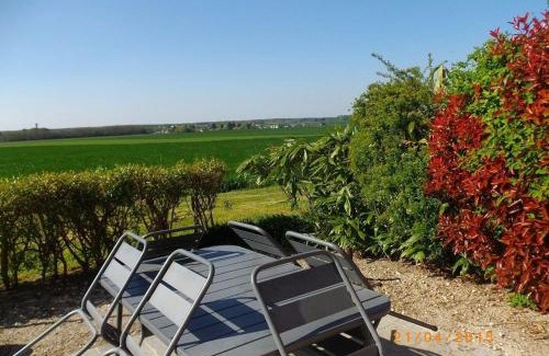 Vennecy House | Gîte paisible près d'Orléans, animaux admis, terrasse et jardin - FR-1-590-584