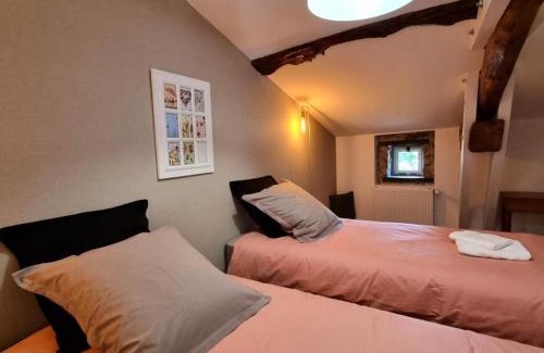 Saint-Denis-sur-Coise House | Gîte spacieux 10 pers, Monts du Lyonnais, spa et jardin - FR-1-496-358