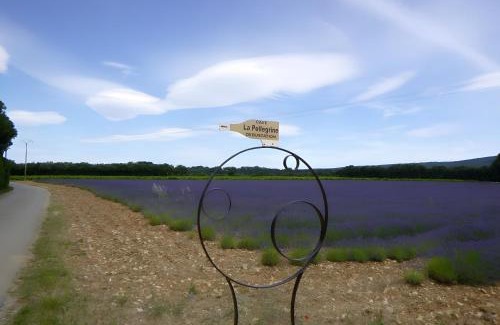 Montbrison-sur-Lez House | Gîte Sur Domaine Viticole