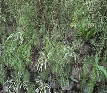 Saint-Claude House | Gîte Ti jit la