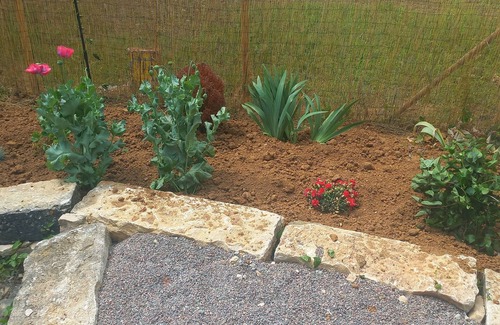 Allerey-sur-Saone House | Gîte Wellness Chez Léon