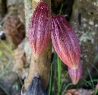 Trois-Rivieres House | Gîtes de la coulisse