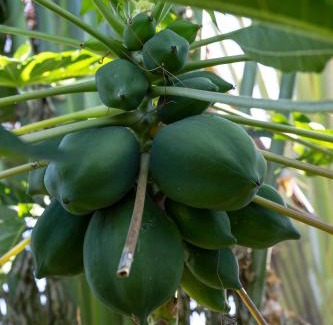 Trois-Rivieres House | Gîtes de la coulisse