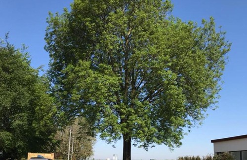 Wattignies House | Gîtes du Frêne