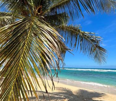 Campeche House | Gîtes Les Bienheureux - Piscine, Hamak, Terrasse