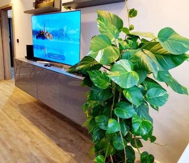 Slupsk Apartment | Galaxy Apartments