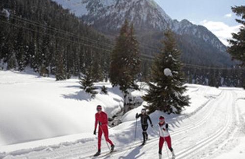 Barco Apartment | Garden Apartment Relax