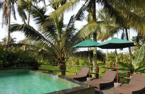 Kedewatan Apartment | Garden Apartment with Shared Swimming Pool