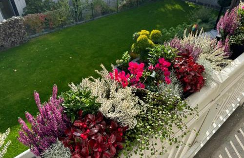 Westend Bed & Breakfast | Garden Apartments