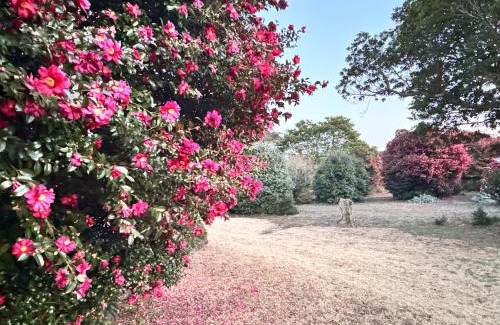Seongsan Apartment | Garden in Jeju 201