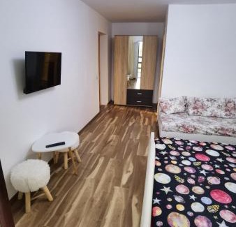 Ilieni House | Garden Villa