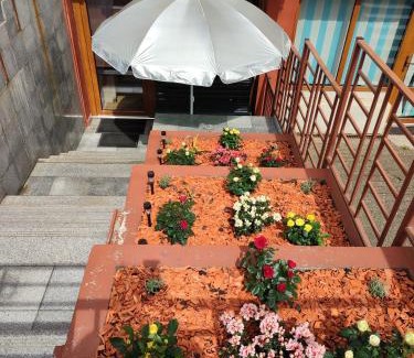 Cluj-Napoca Apartment | Garsoniera Alex
