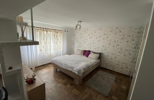 Lupeni Apartment | Garsoniera deosebita intr-o zona linistita Straja-Lupeni