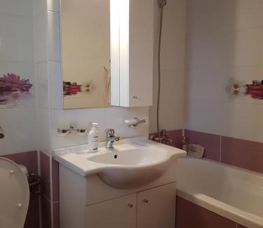 Petrosani Apartment | Garsoniera Mihaela