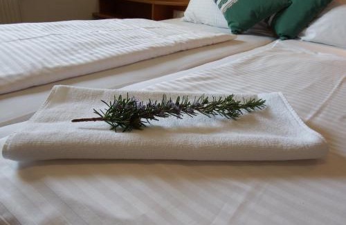 Morbisch am See House | Gartenpension Fischl