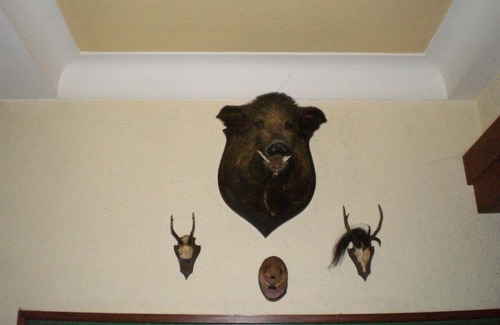 Elmstein House | Gasthaus-Pension Waldesruhe