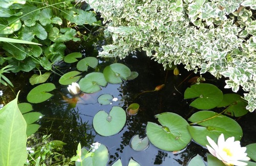 Hannoversch Munden Hotel | Gasthof zur Querenburg