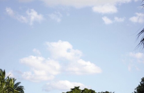 Survey Creek Resort | Gateway to the Florida Everglades !