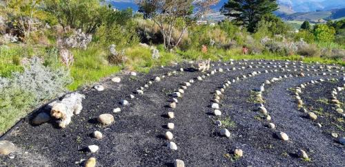 Franschhoek House | Gecko Cottage at Artemis