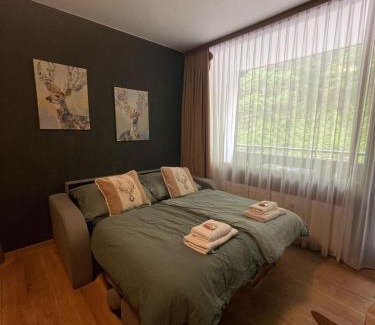Bad Goisern Apartment | Gemütliches Apartment mit Balkon nähe Hallstatt