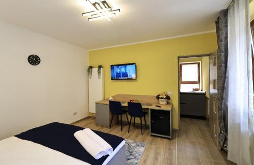 Fagaras House | Georgescu House