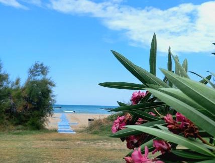 Casabianca di Fermo Apartment | Giardino delle rose