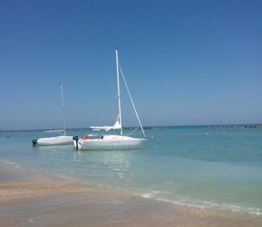 Casabianca di Fermo Apartment | Giardino delle rose