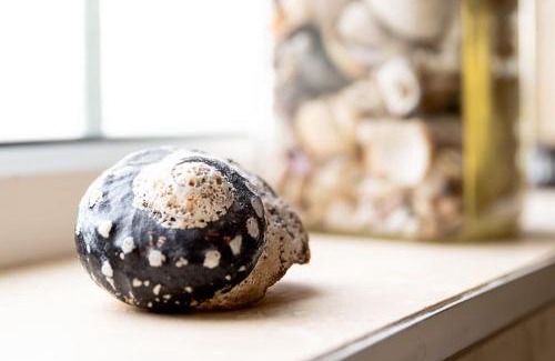 Aylestone House | Gilmoreton House