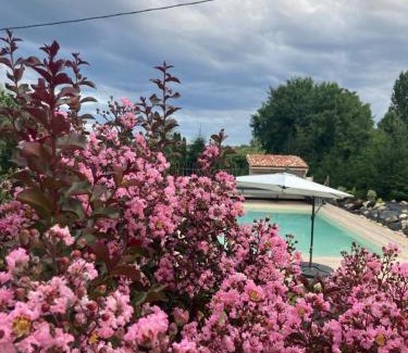 Saint-Nicolas-de-la-Grave Apartment | GITE Abeille-Soleil