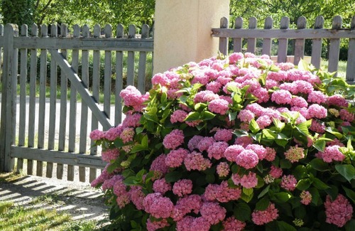 Coulaures Cottage | Gite Coulaures, 4 bedrooms, 7 persons