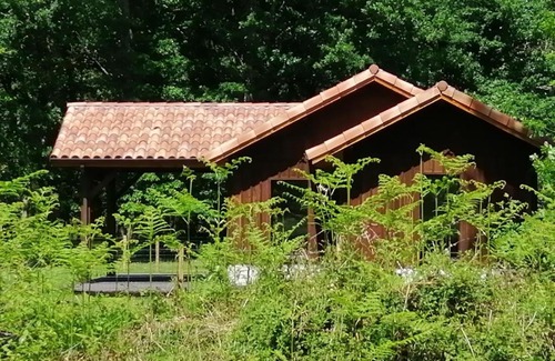 Pissos Villa | Gite en forêt landaise avec jacuzzi d'intérieur