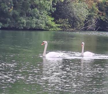 Taillant House | Gite La baragane