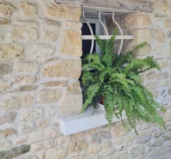 Taillant House | Gite La baragane