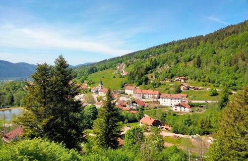 Basse-sur-le-Rupt Apartment | Gite le grenier du roc