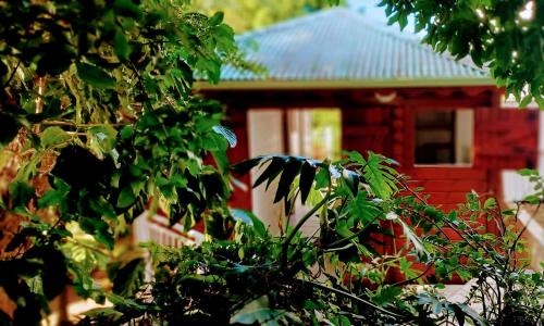 Baillif House | Gite Mamour - Charmant petit bungalow à découvrir