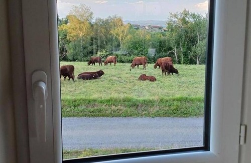 Maurs Cottage | Gite Maurs, 2 bedrooms, 4 persons