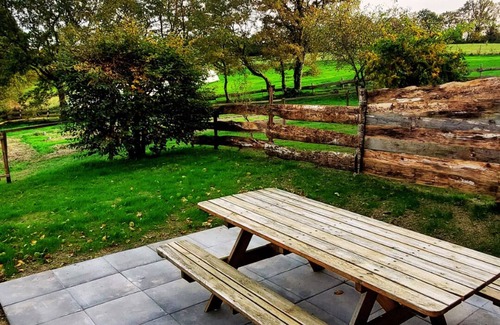 Le Poire-sur-Vie House | Gîte Nicolleau : In the heart of a natural and historic estate surrounded by llamas!