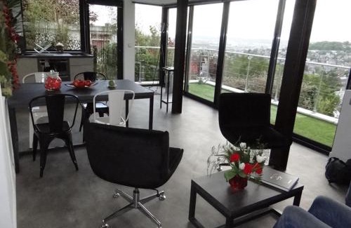 Bois-Guillaume House | Gite SEINE EN VUE standing, panorama et climatisation