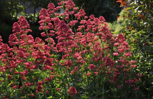 Bois-Guillaume House | Gite SEINE EN VUE standing, panorama et climatisation