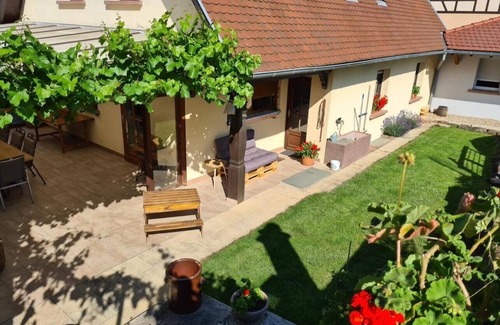 Cleebourg House | Gite Vignoble de Cléebourg -8