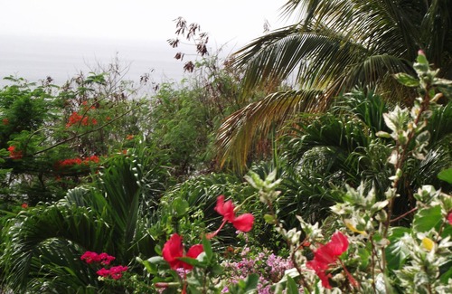 Malendure Cottage | Gîtes AKANSYEL green sea view of the Caribbean (Green)
