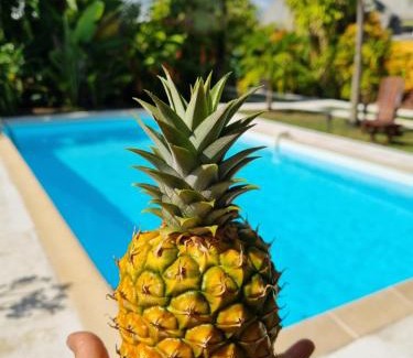 Pelletan Apartment | Gites Kaladja