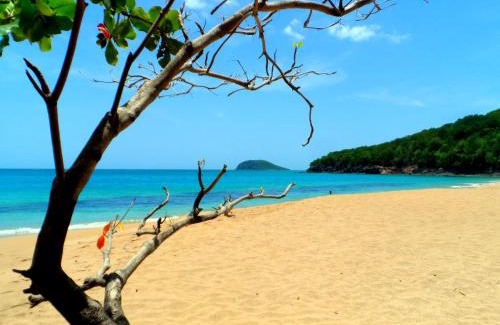 Bas Vent Bed & Breakfast | Gites Rose des Vents