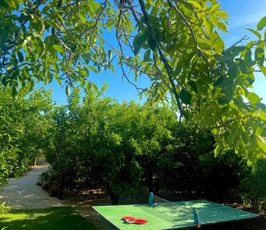 La Arboleja Other | Glamping de Huerta La Arboleja