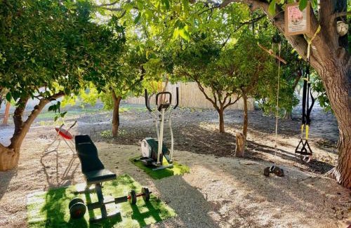 La Arboleja Other | Glamping de Huerta La Arboleja