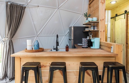 Cosby RV Rental | ✨🥂 Glamping Dome with Full Bath, Kitchen, Fire Pit, & Grill